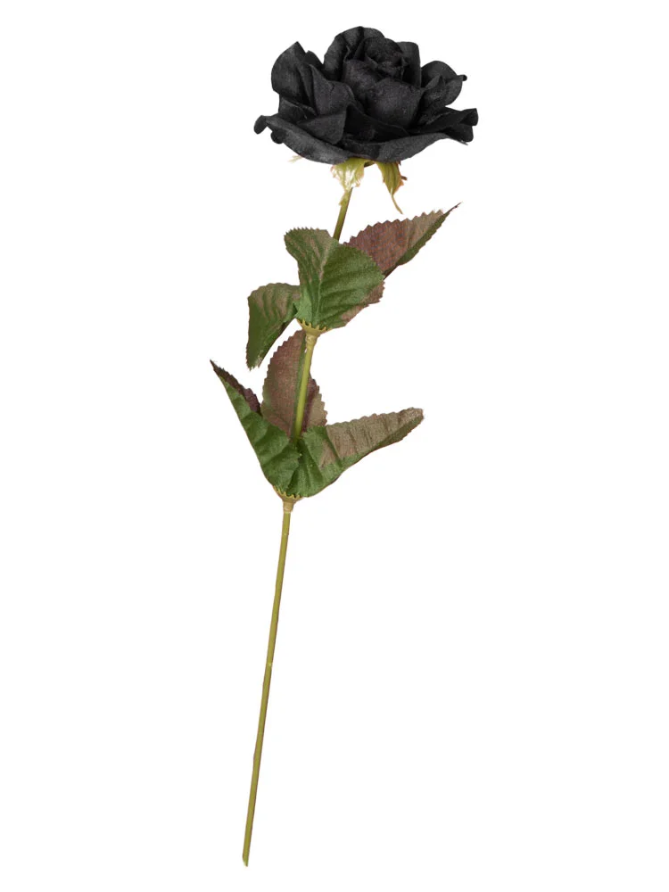 Black Rose by Alchemy Gothic